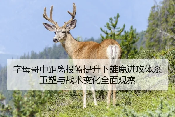 字母哥中距离投篮提升下雄鹿进攻体系重塑与战术变化全面观察